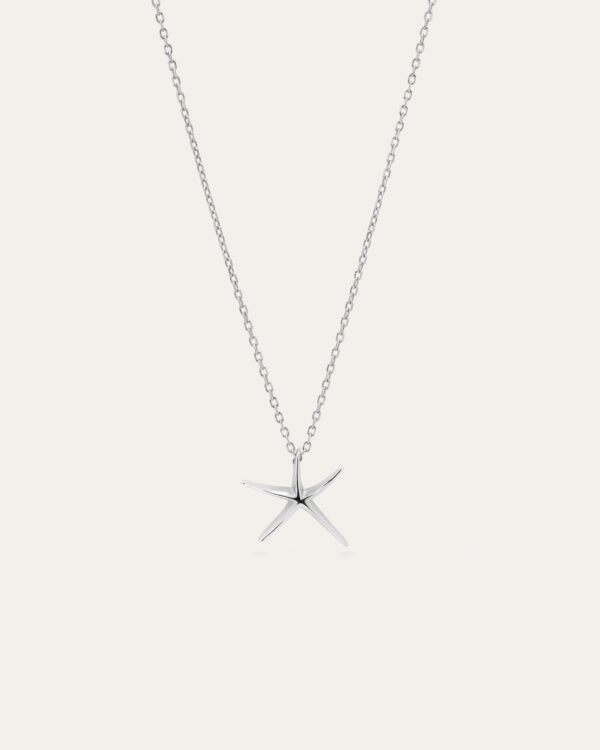 Collar étoile silver